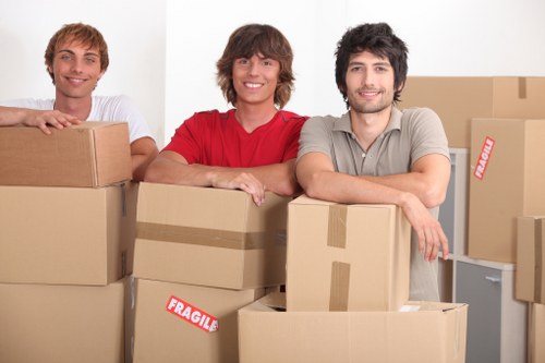 Risk assessment and planning for a Lewisham man and van job