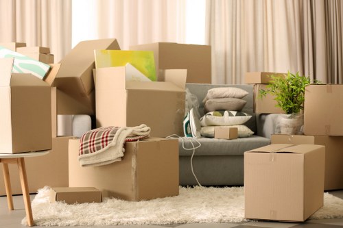 Safety-focused moving team checking load and access conditions